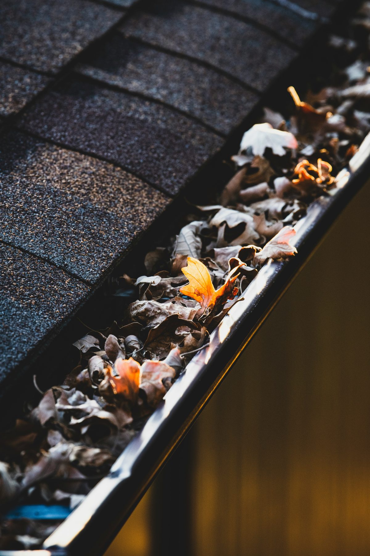 Clogged roof gutter full of leaves - Good Taste Cleaning Services